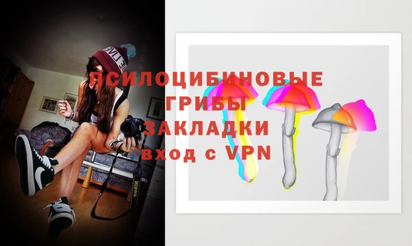 стафф Абдулино